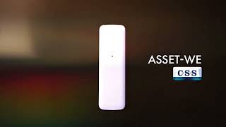 CSS Ltd - ASSET WE Product Information