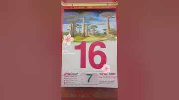 MC97 | Chúc mừng năm mới mùng 7 tết nguyên đán xuân giáp thìn 2024 rất hay rất thú vị #Shorts