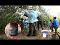 Wildlife officials who x rayed the tusk elephant&#39;s leg for the second time and cleaned the wound.