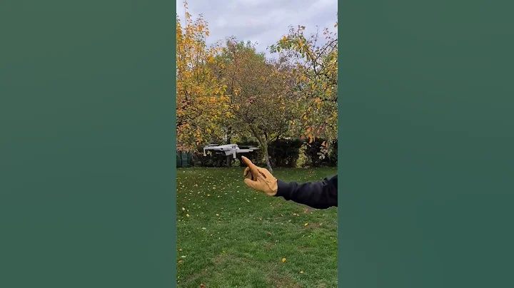 DJI Mini 2 how to badly crash your drone 😱🔥 #shorts #dji #djimini2 #viral