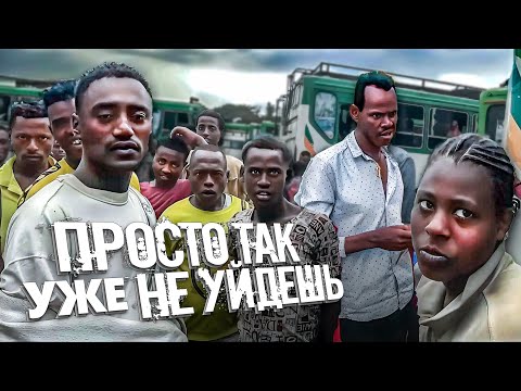 Видео: Эти листья захватывают мир / Эфиопские приключения #эфиопия #африка