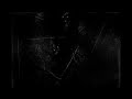 transmetal ave negra