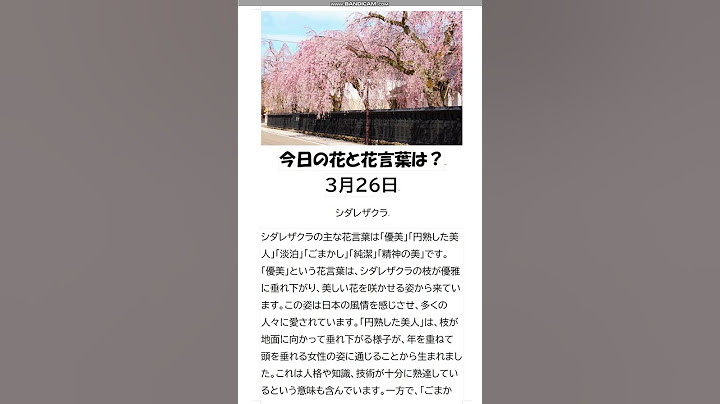 #花#花言葉#お花のある生活#「今日の花と花言葉は？１分で簡単解説 ３月２６日」