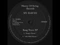 St david  bangs theme theory of swing records