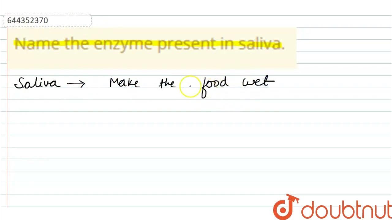 Name the enzyme present in saliva. 12 BIODIVERSITY AND CONSERVATION