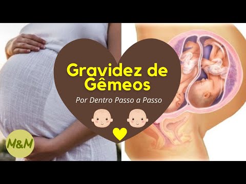 Vídeo: Como os gêmeos crescem no útero?