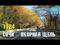 СОЧИ: таймлапс от Мамайки до Якорной щели | Жизнь на Юге