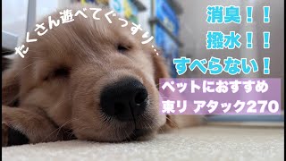 [東リファブリックフロアアタック270]犬と暮らす人におすすめカーペットを部屋に敷いてみた