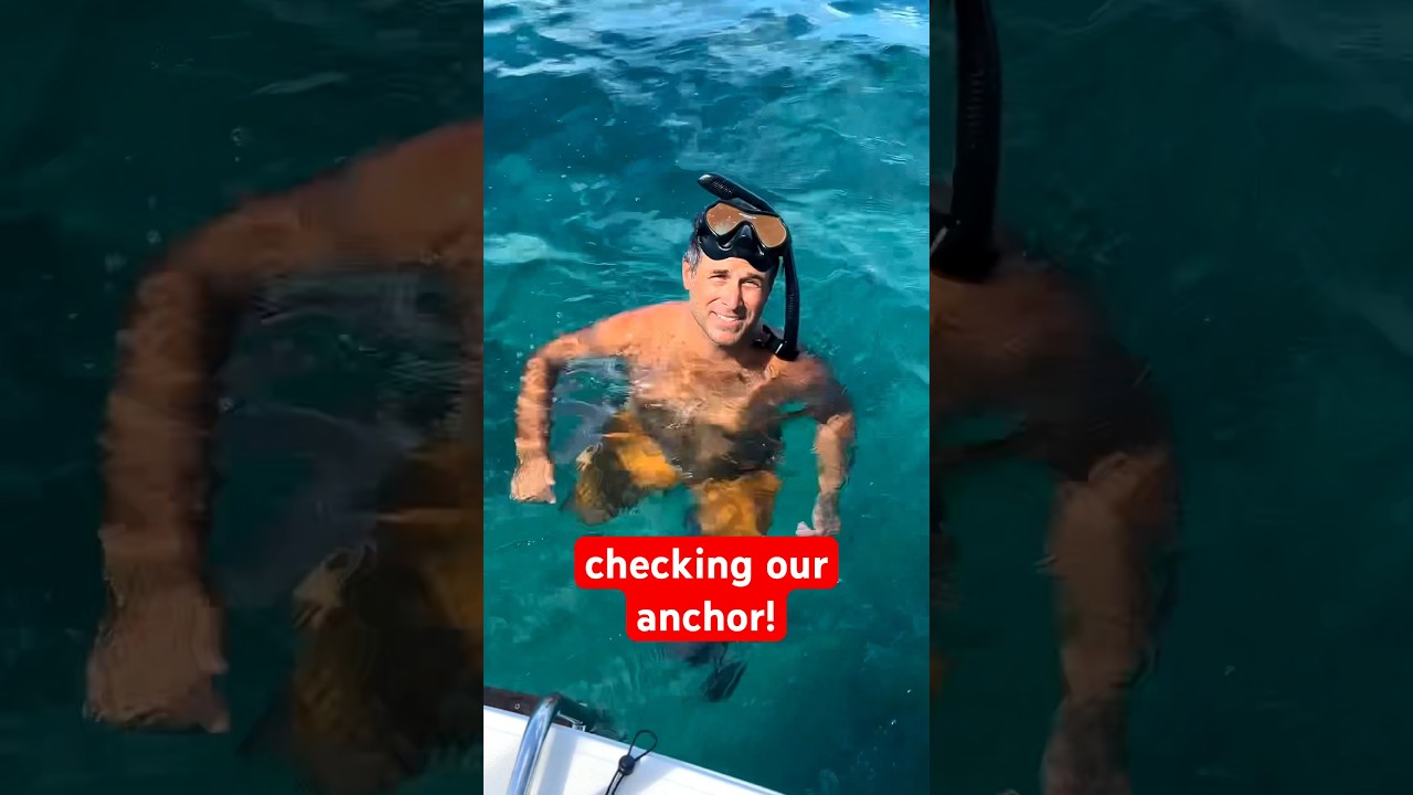 Diving to check on the Mantus anchor #sailboat #boat #sailing #anchoring #boating #catamaran #travel