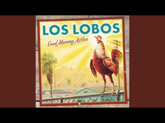 Los Lobos - What In The World
