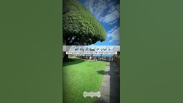 رعد الكردي || ما تيسر من سورة التغابن || ما أصاب من مصيبة إلا بإذن الله