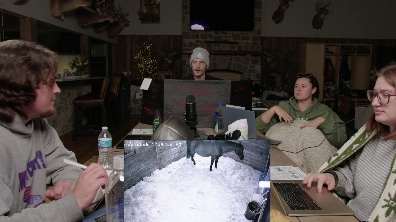 Foal Watch Live Cam - 01.28.26 - DND New Campaign