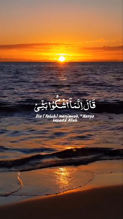Surah Yusuf Ayat 86 #bismillah #alquran #islam #murottal #murotalworld #foryou #fypシ