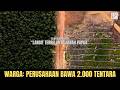 Ada TNI di pembabatan masif hutan Papua oleh perusahaan raksasa