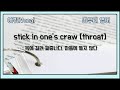 stick in one's craw [throat]  목에 걸려 짜증 나다, 마음에 들지 않다