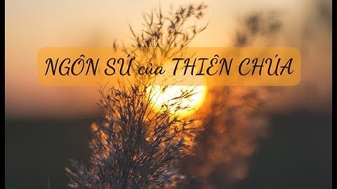 NGÔN SỨ CỦA THIÊN CHÚA  | Suy Niệm Tin Mừng CN XIV Mùa Thường Niên - Năm B