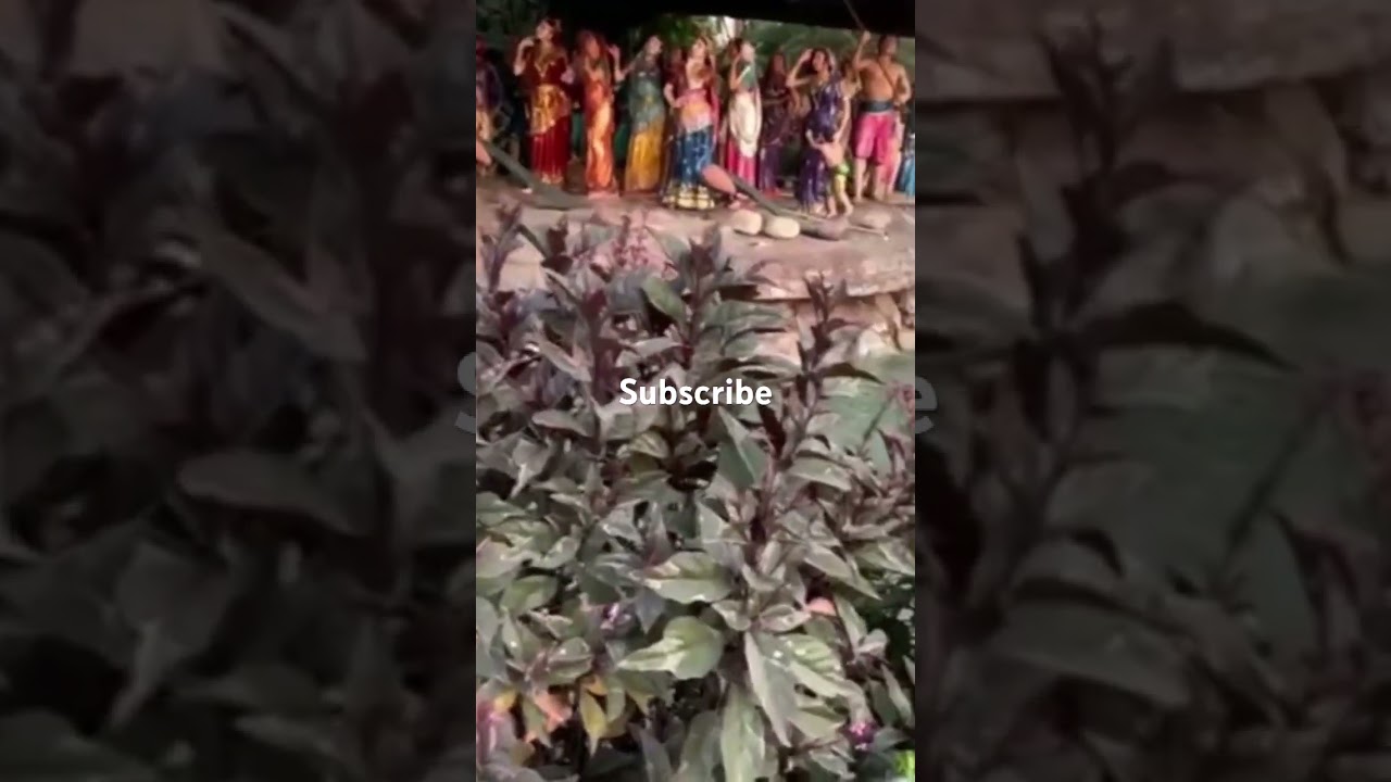 Jai Shree Krishna | #viralvideo #krishna #krishnabhajan #song