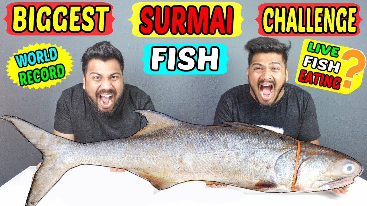 BIGGEST SURMAI FISH EATING CHALLENGE 6KG FISH EATING COMPETITION
