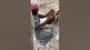 ماشاء الله العسل الجبلي 