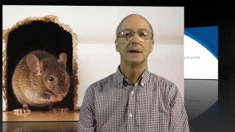 Campaign Day 16 - Irreducible Complexity