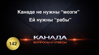 142. Канаде не нужны 