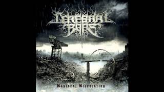 Video thumbnail of "Cerebral Bore - The Bald Cadaver (Official Audio)"