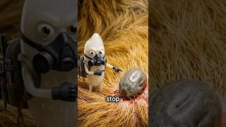 DIY Chemical-Free Tick Spray for Dogs 🛑🐾 (Never Pull Ticks Again!)