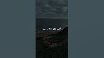 والذين إِذَا فَعَلُواْ فَاحِشَةً أَوْ ظلموا أَنْفُسَهُمْ ذَكَرُواْ الله - سورة آل عمران - علي جابر