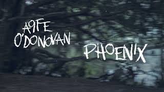 Aoife O&#39;Donovan - &quot;Phoenix&quot; [Official Audio + Lyrics]