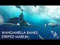 Wanganella Banks Striped Marlin fishing aboard Lady Lola - May 2019