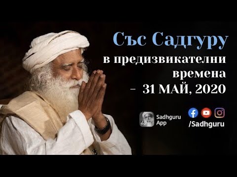 Видео: По време на карантината жената „излюпи“три патета от яйцата на магазина - и сега те шарлатат в Instagram