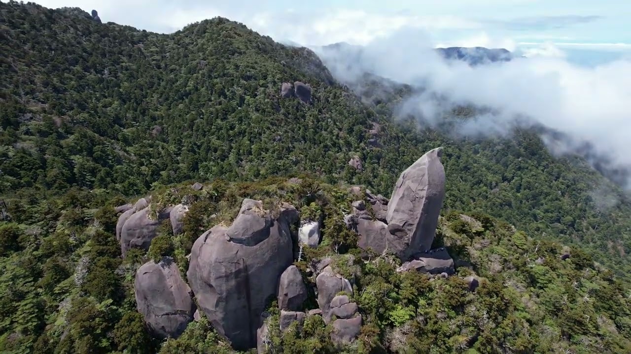 屋久島・太忠岳の天柱石 - YouTube