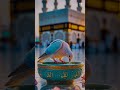 Surah Al-Mulk Recitation | Beautiful Quran Tilawat