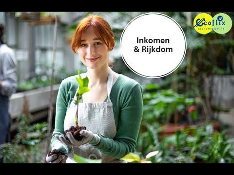 1.2 Inkomen en Rijkdom M4 economie