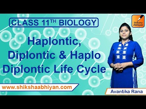 Video: Forskjellen Mellom Haplontic Og Diplontic Life Cycles