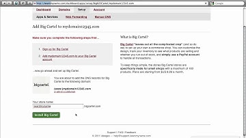 How To Add Big Cartel To Your Custom Domain At iWantMyName