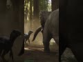 10 Tons of Fury: Triceratops Destroys a Raptor Pack! 💥🛡️