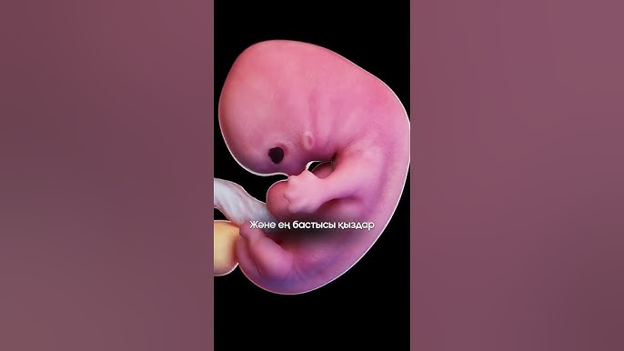 Кроссдресстерді соруға мәжбүр болды