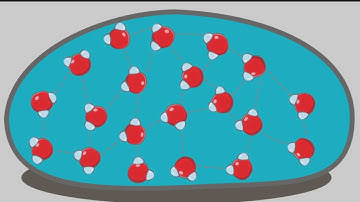 Intermolecular Forces and Surface Tension in Water