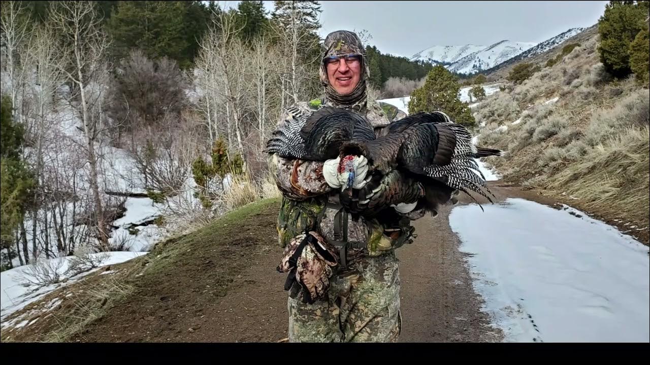 Eastern Idaho Spring Turkey Hunt 2023 YouTube