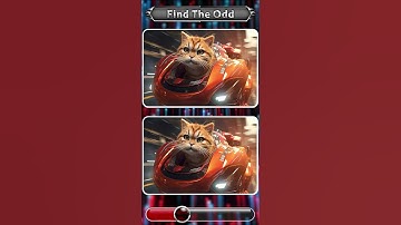 🤯 Only GENIUSES Can Spot the Difference! Can you find it in just 3 seconds? #cat #catlover