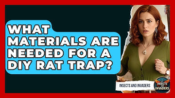 What Materials Are Needed For A DIY Rat Trap? - Insects and Invaders