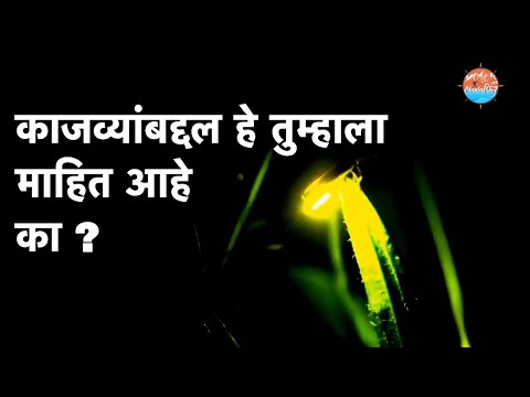 Kajava mahotsav किंवा काजवा बघायला जाणं चांगल की नाही...?