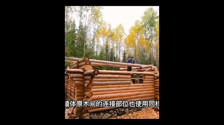 21岁年轻小伙用一年时间建造一间井干式木屋 #用心纪录 #感谢支持与关注 #荒野建造 #野外生活纪录片