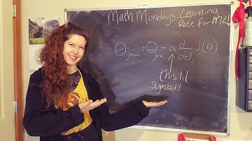 Machine Learning: how to choose a learning rate! (the beginner friendly intro youve needed)