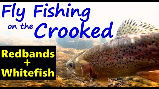 Crooked River Fly Fishing | Prineville Central Oregon | How to: Methods & Flies for Trout +Whitefish by MT 4,103 views 4 years ago 12 minutes, 16 seconds