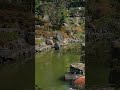 早春の京都・両足院(2019年)　#shorts #kyoto #japan