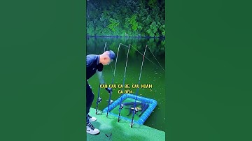 Cần câu máy 2 khúc, ngọn siêu dẻo, câu cá bè, câu ngâm, câu dìa bao phê #fishing #shortvideo
