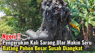 Download Lagu Ngeri‼️Pengerukan Kali Sarang Ular Makin Seru Batang Pohon Besar Susah Diangkat MP3 Download Lagu Ngeri‼️Pengerukan Kali Sarang Ular Makin Seru Batang Pohon Besar Susah Diangkat MP3