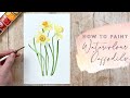 How to Paint Watercolour Daffodils